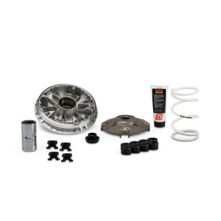 Variatore Multivar 2000 Malossi 5118980 per Honda Forza SH