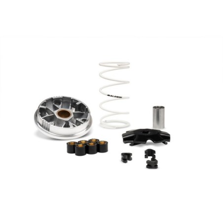 Variatore Multivar BYE Bike ONE 50 2T Malossi 5119411