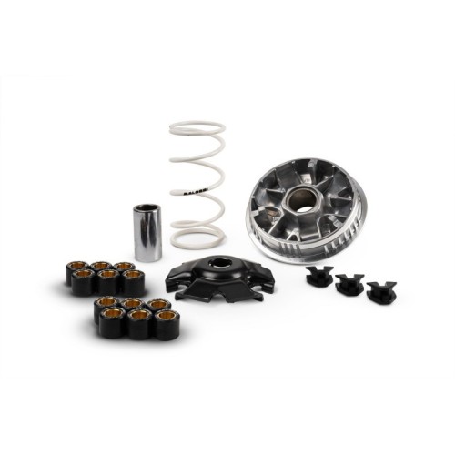 Variatore Multivar 2000 Malossi 5119479 per Kymco KRV Type