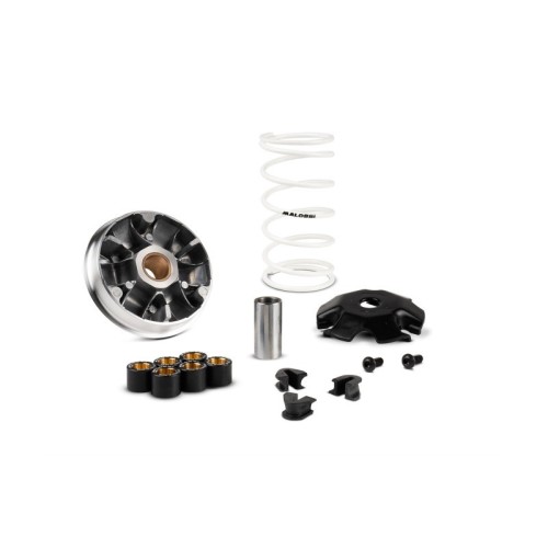 Variatore Multivar 2000 Malossi 5119670 per Honda Vision