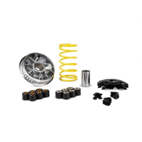 Variatore Multivar 2000 Malossi 5119760 per Piaggio Medley