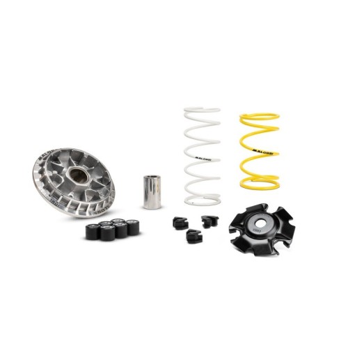 Variatore Multivar 2000 Malossi 5119875 per Honda SH I ABS