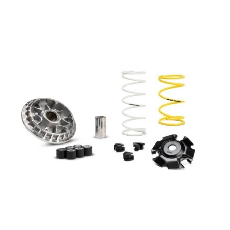 Variatore Multivar 2000 Malossi 5119875 per Honda SH I ABS