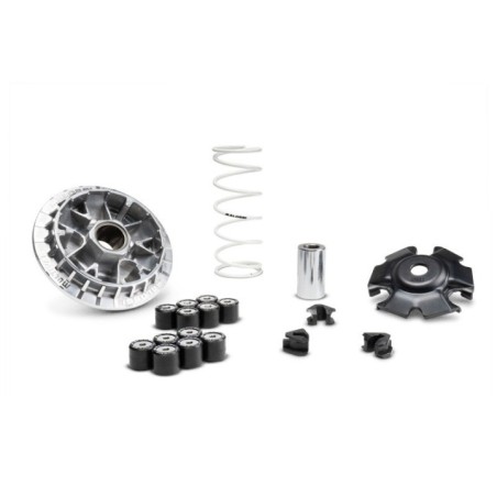Variatore Multivar 2000 Malossi 5119876 per Honda SH I ABS