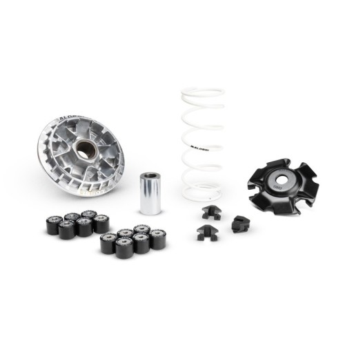 Variatore Multivar 2000 Malossi 5120067 per Honda PCX 125