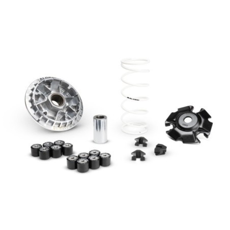 Variatore Multivar 2000 Malossi 5120067 per Honda PCX 125