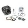 Cilindro Ø57 5 Ghisa Sp.ø 14 Malossi 3111374 per MBK