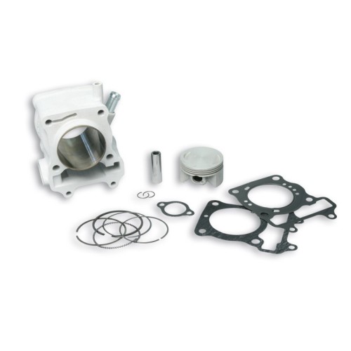 Cilindro Ø61 Allum. Sp.ø 14 H2O Malossi 3111588 per Honda