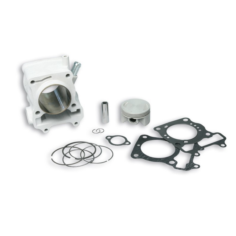 Cilindro Ø61 Allum. Sp.ø 14 H2O Malossi 3111588 per Honda