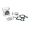 Cilindro Ø61 Allum. Sp.ø 14 H2O Malossi 3111588 per Honda