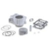Cilindro Ø67 Allum. H2O 4 Stroke Malossi 3112830 per Honda