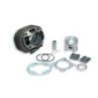 Cilindro Ø47 Ghisa Sp.ø 12 Malossi 3113067 per Malaguti F12