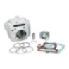Cilindro Ø53 Allum. Sp.ø 13 PIT Bike 110 4t Malossi 3113238