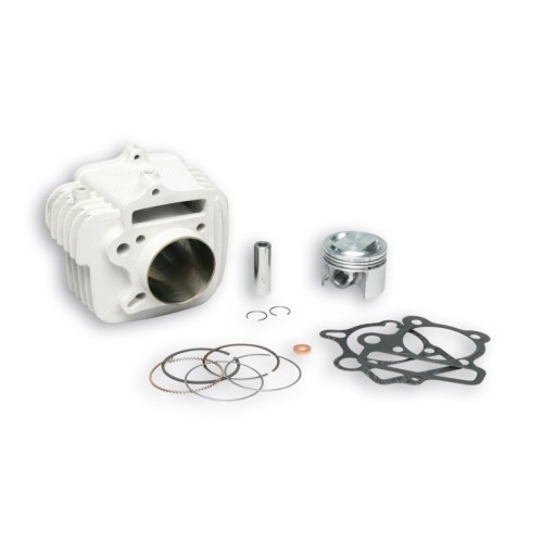 Cilindro Ø56 Allum. Sp.ø 15 PIT Bike 140 4t Malossi 3113438