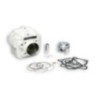 Cilindro Ø56 Allum. Sp.ø 15 PIT Bike 140 4t Malossi 3113438