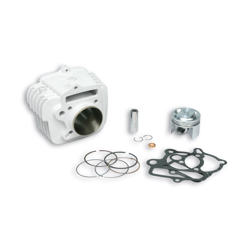 Cilindro Ø56 Allum. Sp.ø 15 PIT Bike 150 4t Malossi 3113693