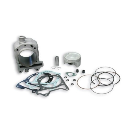 Cilindro Ø75 5 Allum. H2O Malossi 3113955 per Gilera Runner