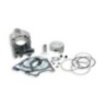 Cilindro Ø75 5 Allum. H2O Malossi 3113955 per Gilera Runner