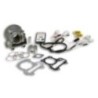 Cilindro Compl. Ø49 Allum. Sp.ø 10 I Tech Malossi 3116518