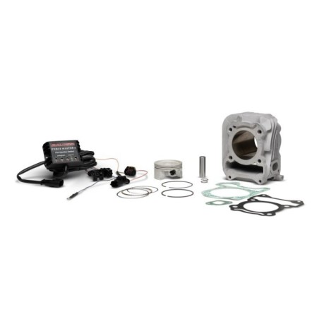 Cilindro Compl. Ø63 Allum. Sp.ø 14 I Tech Malossi 3116669