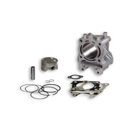 Cilindro Ø61 Allum. Sp.ø 14 H2O Malossi 3117096 per Honda
