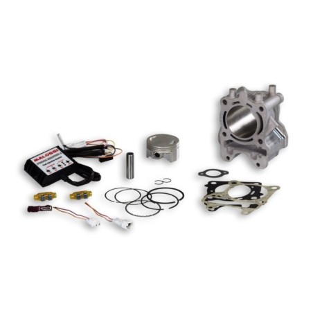 Cilindro Compl. Ø61 Malossi 3117559 per Honda PCX 125 150