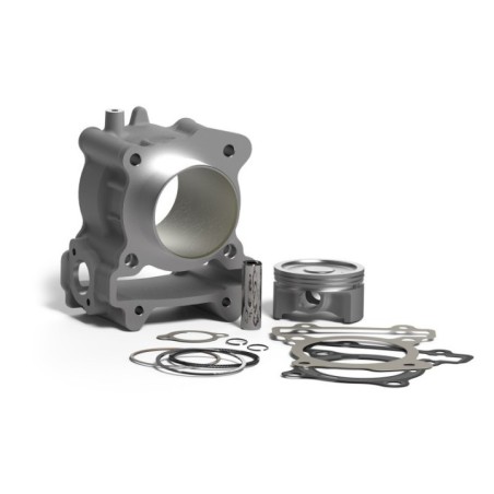 Cilindro Compl. Ø63 Malossi 3117968 per Yamaha YZF R 125