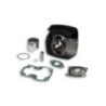 Cilindro Ø50 Ghisa Malossi 31 2452 per Suzuki TS ER 21 50 2T