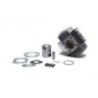 Cilindro Ø42 Allum. Puch Maxi 50 Malossi 31 2621