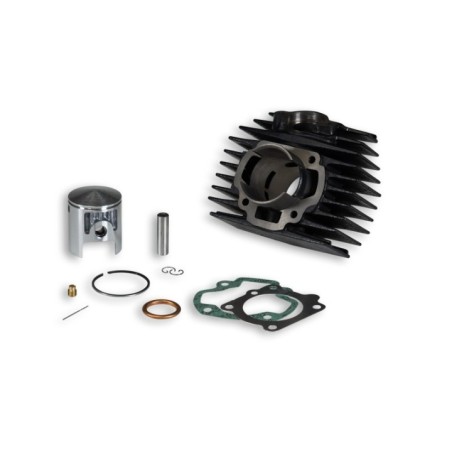 Cilindro Ø45 5 Ghisa Malossi 31 3642 per Honda Camino PX 50