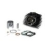 Cilindro Ø45 5 Ghisa Malossi 31 3642 per Honda Camino PX 50