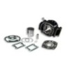 Cilindro Ø53 Ghisa H2O Malossi 31 3738 per Honda MBX 80