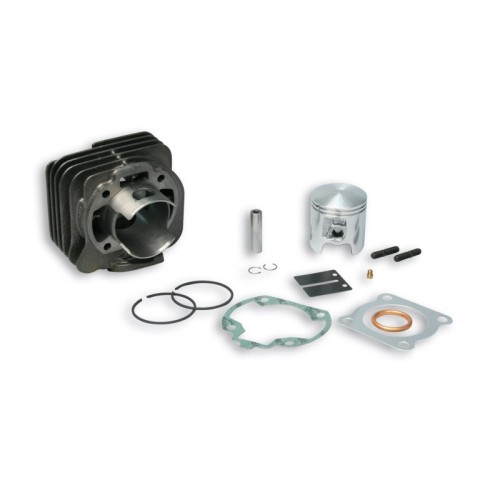 Cilindro Ø47 Ghisa Sp.ø 10 Malossi 31 6170 per Honda Lead
