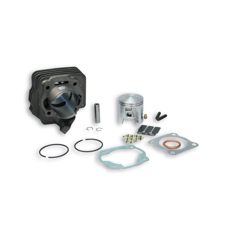 Cilindro Ø47 Ghisa Sp.ø 10 Malossi 31 6405 per Honda Vision