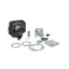 Cilindro Ø47 Ghisa Sp.ø 10 Malossi 31 6405 per Honda Vision