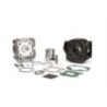 Gruppo termico Ø40 Ghisa Sp.ø 10 Malossi 31 6901 per MBK
