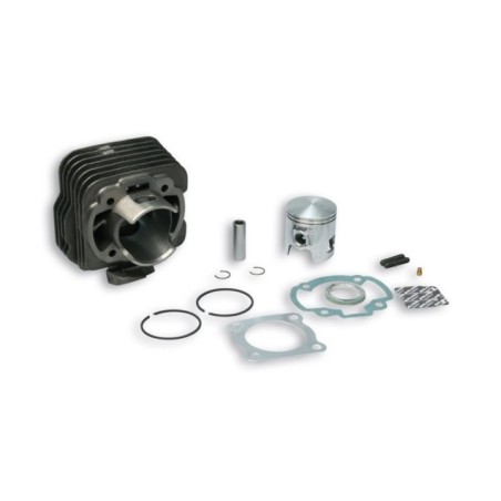 Cilindro Ø47 Ghisa Sp.ø 12 Malossi 31 6998 per Honda DIO SP