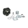 Cilindro Ø47 Ghisa Sp.ø 12 Malossi 31 6998 per Honda DIO SP