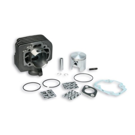 Cilindro Ø47 Ghisa Sp.ø 10 Malossi 31 7137 per Aprilia