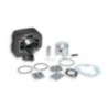 Cilindro Ø47 Ghisa Sp.ø 10 Malossi 31 7137 per Aprilia