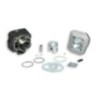Gruppo termico Ø47 Ghisa Sp.ø 12 Malossi 31 7200 per Kymco