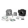 Gruppo termico Ø47 Ghisa Sp.ø 10 Malossi 31 7237 per Yamaha