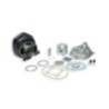 Gruppo termico Ø47 Ghisa Sp.ø 10 H2O Malossi 31 8284 per Mal
