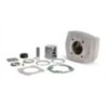 Cilindro Ø45 5 Alluminio Malossi 31 8388 per Peugeot 103