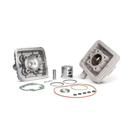 Gruppo termico Ø45 5 Allum. H2O Malossi 31 8393 per Peugeot