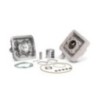 Gruppo termico Ø45 5 Allum. H2O Malossi 31 8393 per Peugeot