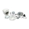 Gruppo termico Ø47 Malossi 31 8466 per Piaggio Quartz 50