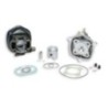 Gruppo termico Ø40 Ghisa Sp.ø 10 H2O Malossi 31 8556 per MBK