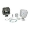 Gruppo termico Ø40 Ghisa Sp.ø 12 Malossi 31 8573 per Peugeot