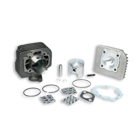 Gruppo termico Ø47 Ghisa Sp.ø 10 Malossi 31 8723 per Suzuki